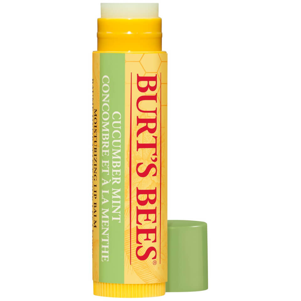 Burt's Bees - Cucumber Mint Lip Balm