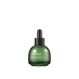 Green Tea Seed Oil