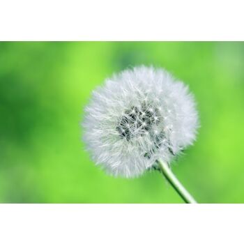 Can sensitive skin use retinol?