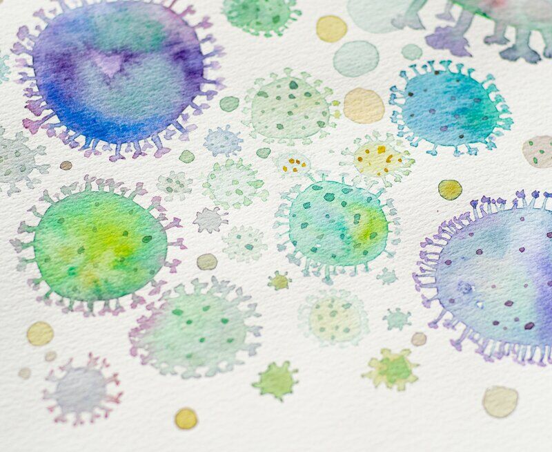 Bacteria, inflammation & acne