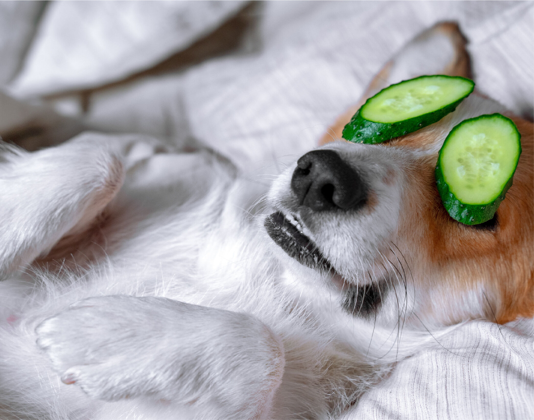 My skincare journey - entry 2